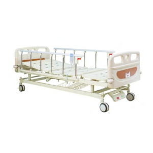 GS-818a / GS-818c - Electric Two Function Bed